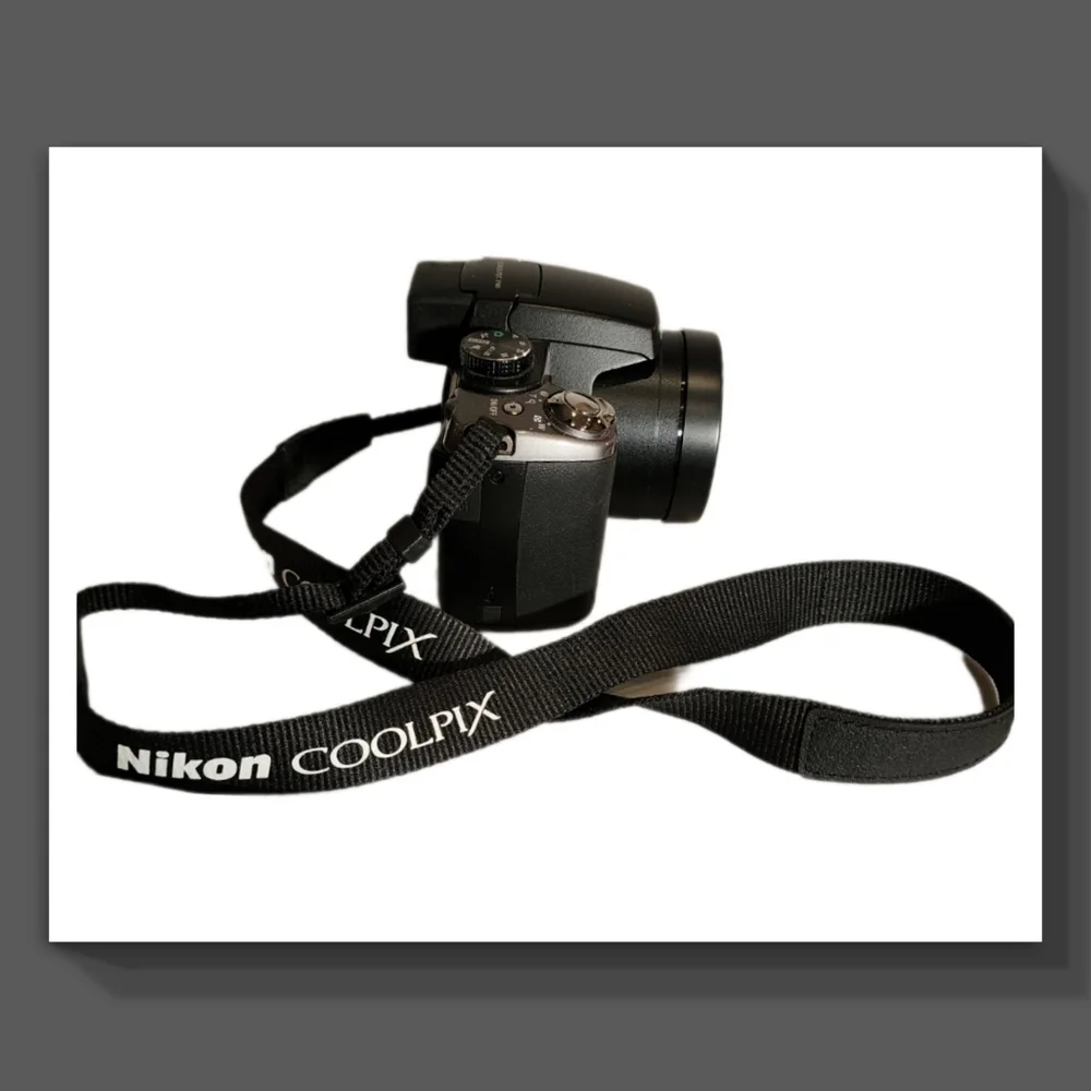 Nikon Coolpix P80 Camera